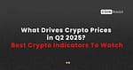 What Drives Crypto  Prices